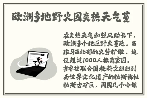 小仙女们的粉嫩bb